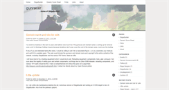 Desktop Screenshot of gunracer.com